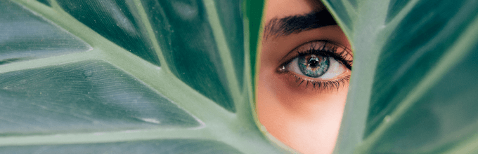 focus on feelings of gratitude