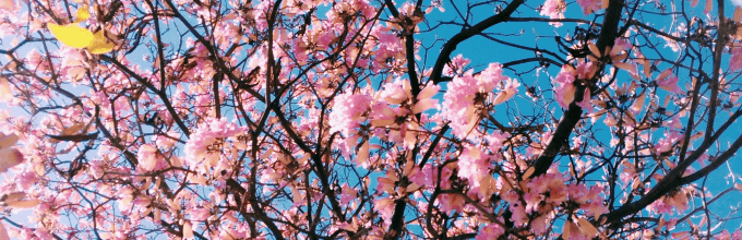 awesome after regret