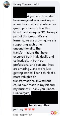 unleashed sydney testimonial anon